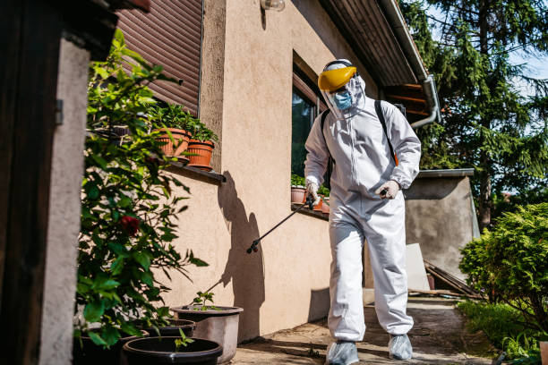 Professional Pest Control in Sky Lake, FL