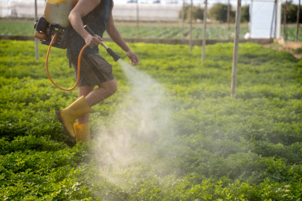Best Residential Pest Control  in Sky Lake, FL