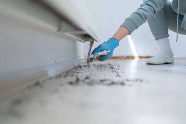 Best Pest Prevention Services  in Sky Lake, FL